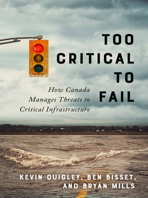 cover image of Too Critical to Fail